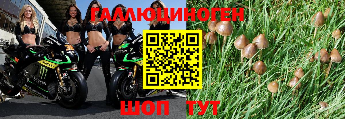 Киржач  Псилоцибиновые грибы MAGIC MUSHROOMS  Галлюциногенные грибы MAGIC MUSHROOMS  Вход с VPN 
