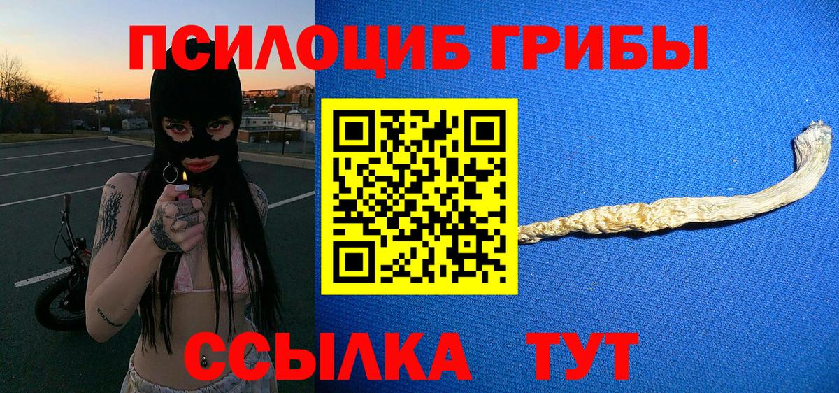 Псилоцибиновые грибы Psilocybine cubensis Киржач